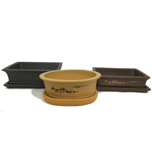 Tiesto Bonsai Con Plato Nanjing Premium 30cm (3 Colores)