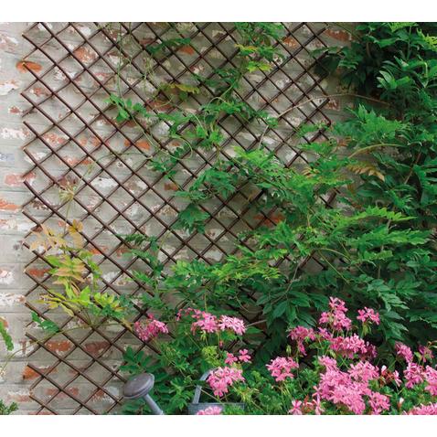 Celosía de mimbre extensible Trelliwillow Nortene 1 x 2 m