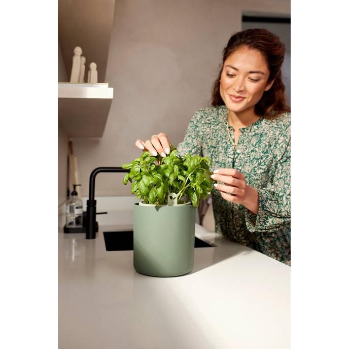 Maceta autoriego aromáticas Bouncy Basil Elho Verde