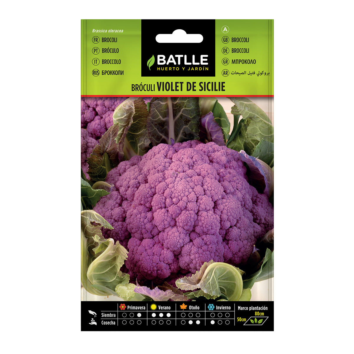 Semillas de Brócoli Violet de Sicile Batlle