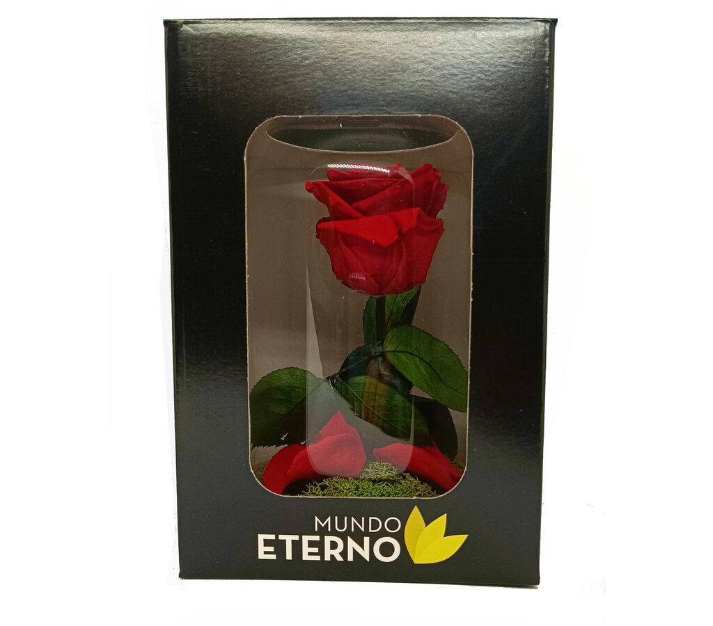 Mundo Eterno Rosa En Cúpula Roja 12x20_4