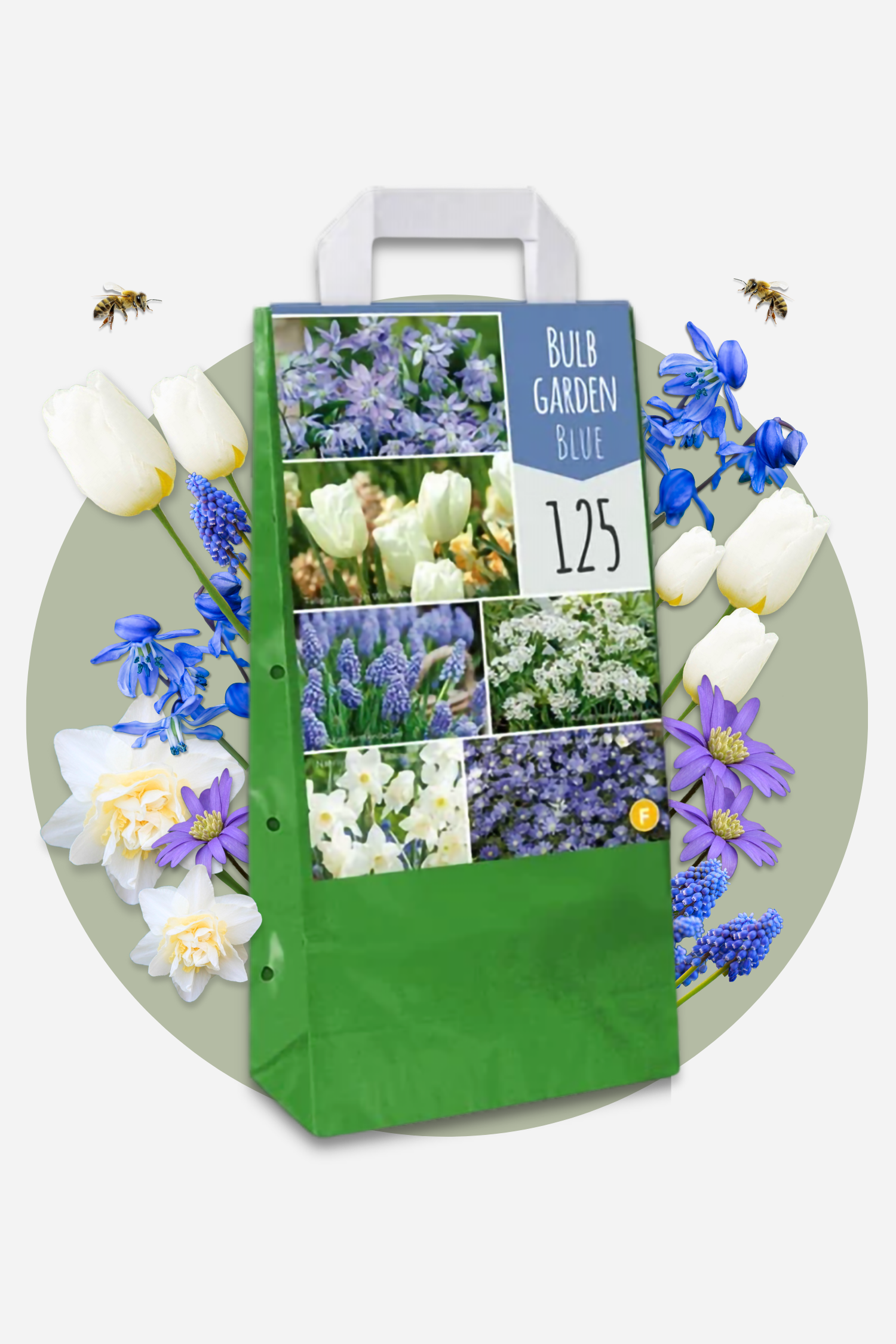 Jardín De Bulbos Nj Azul - 250 Pzs - Bulbos De Flores - Azul