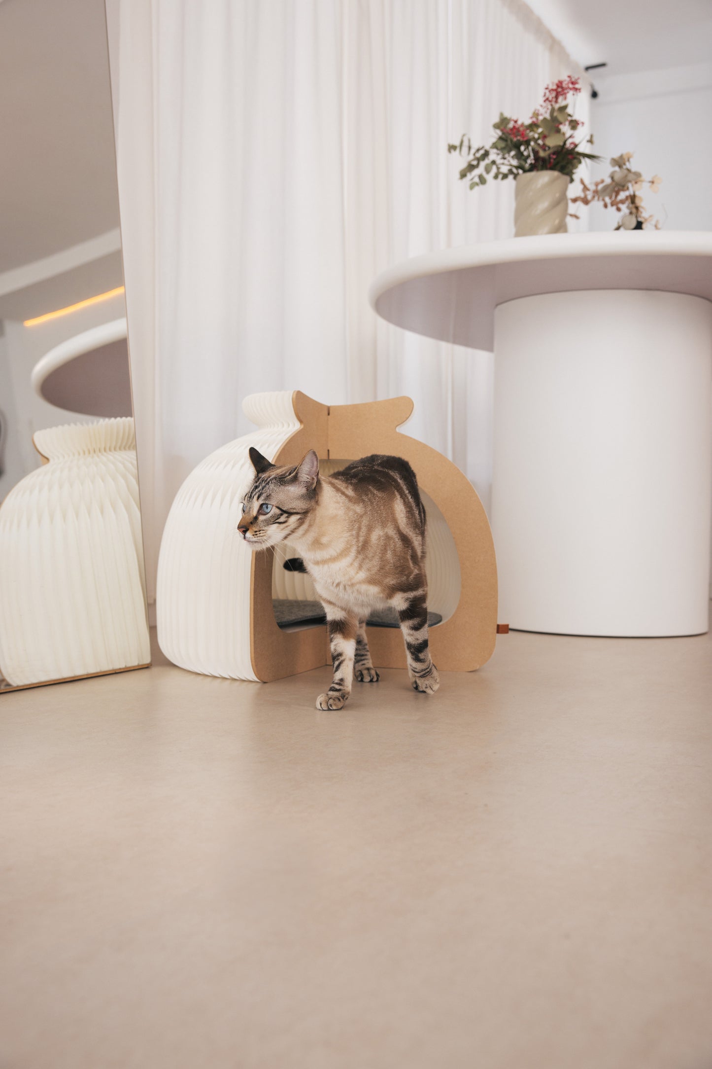 Cama Plegable Para Gatos