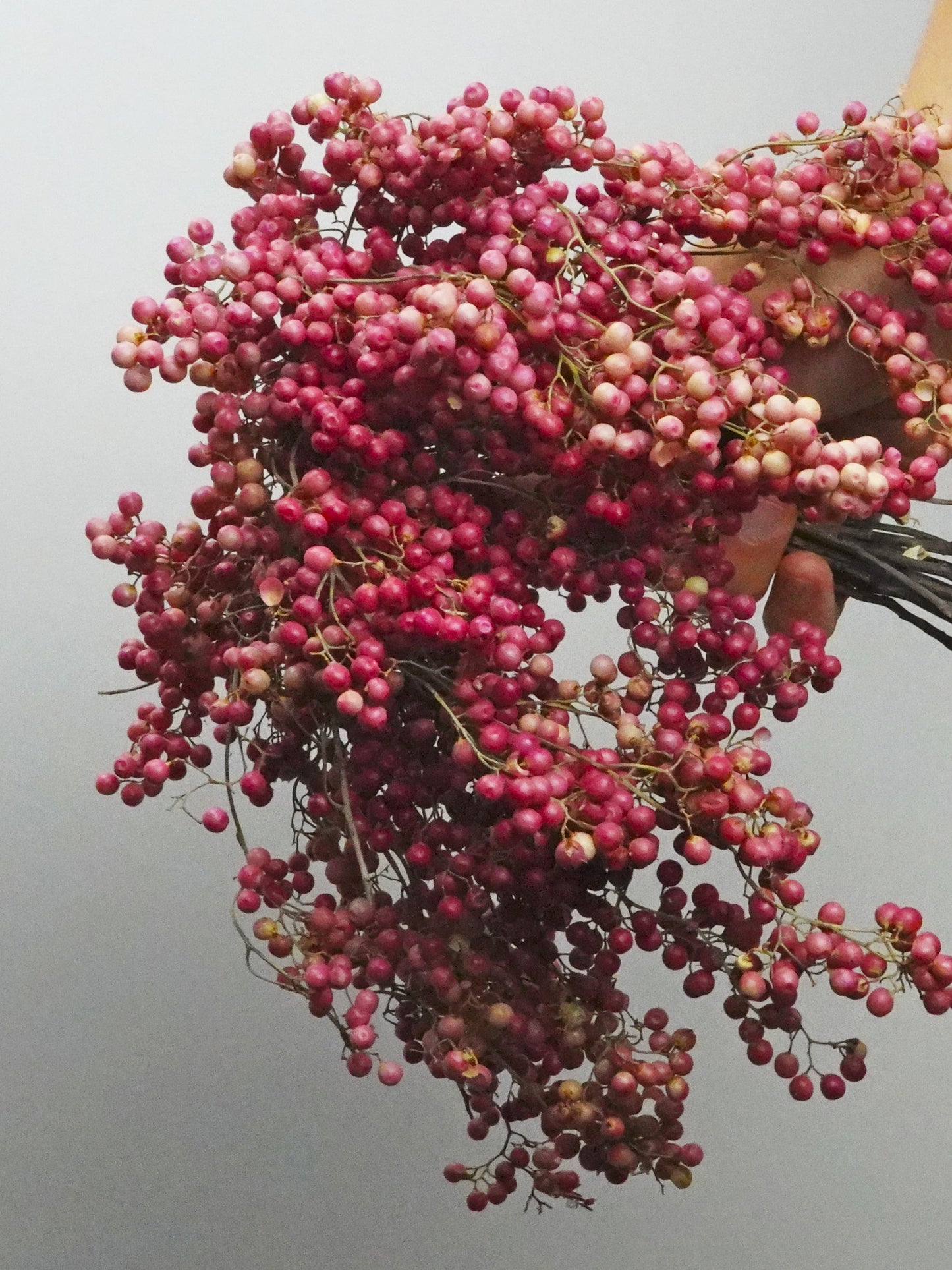 Bolas De Falsa Pimienta