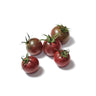 Plantón de Tomate Cherry Negro 6 uds. Gama Tradicional