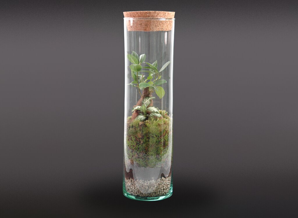 Nanogarden Terrario Tube Ginfit 30x8_0
