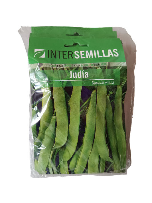 Semillas De Judia Garrafal Enana