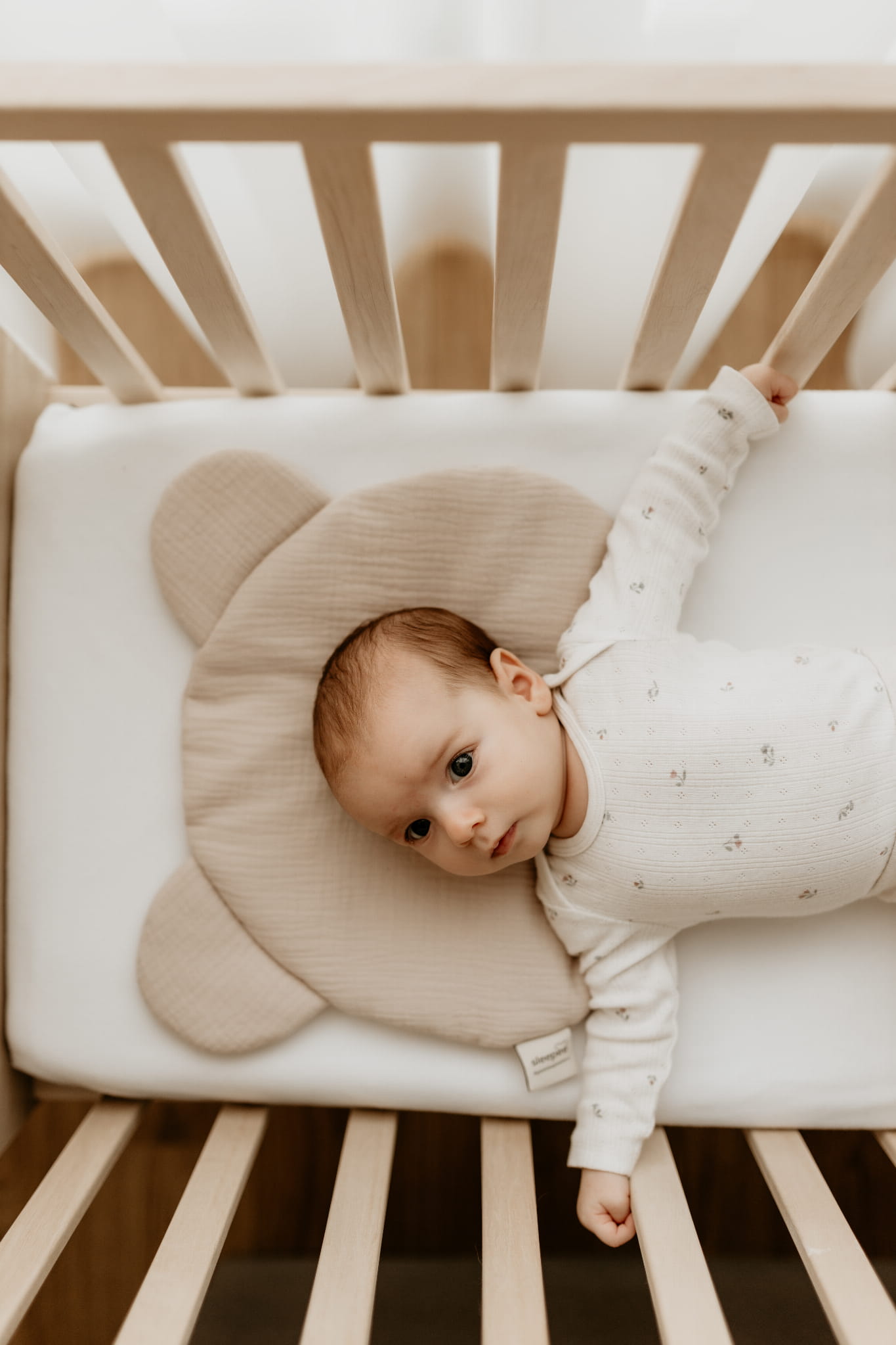 Almohada Plana Osito Para Bebe Muselina Sand