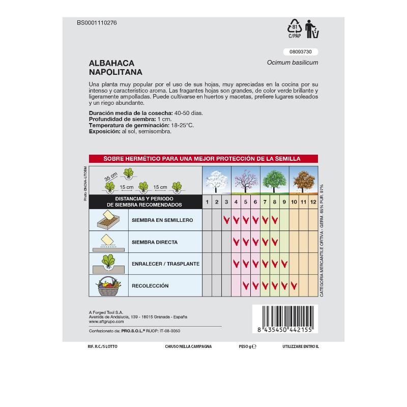 Semillas Aromáticas Albahaca Gigante (5 Gramos) Horticultura, Horticola, Semillas Huerto.