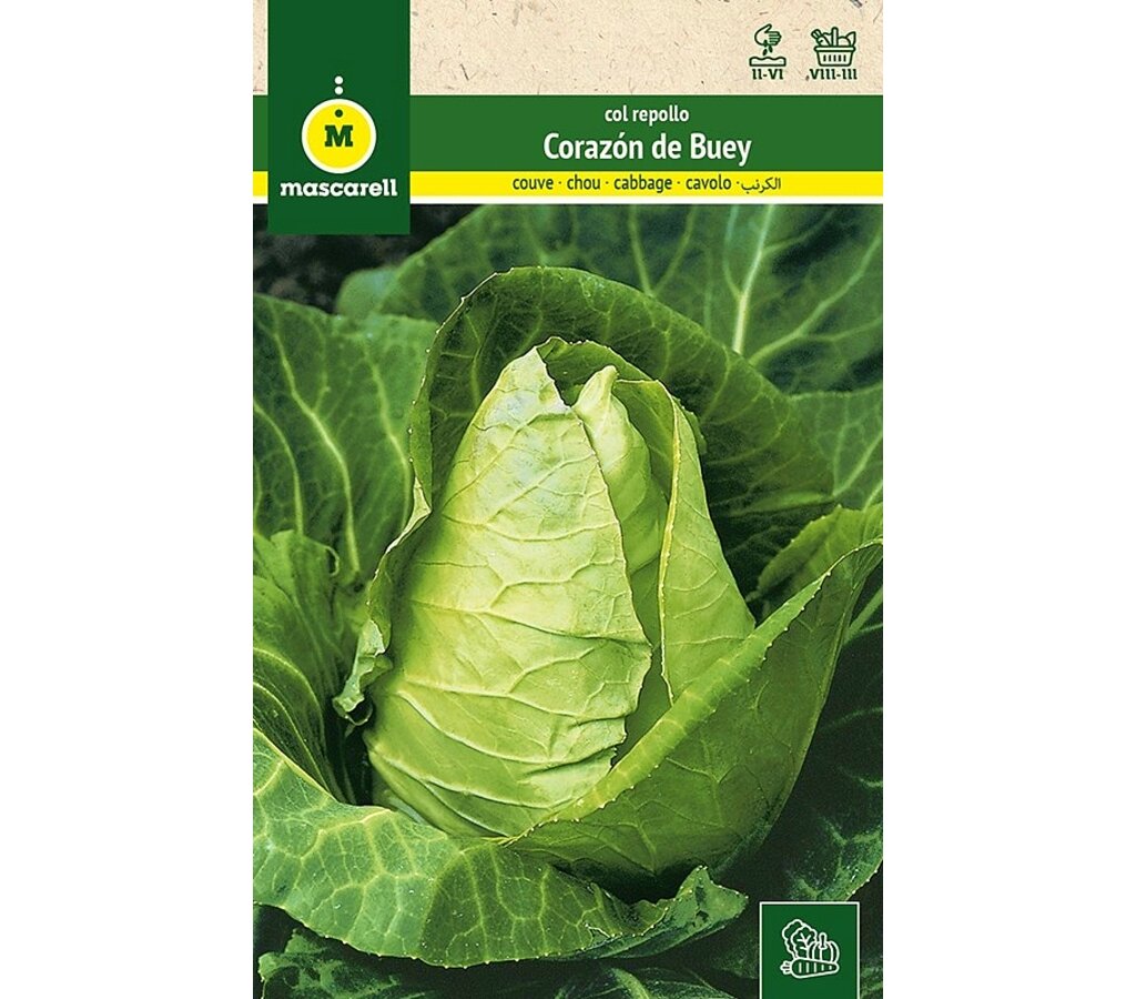 Semillas Col Repollo Corazón De Buey