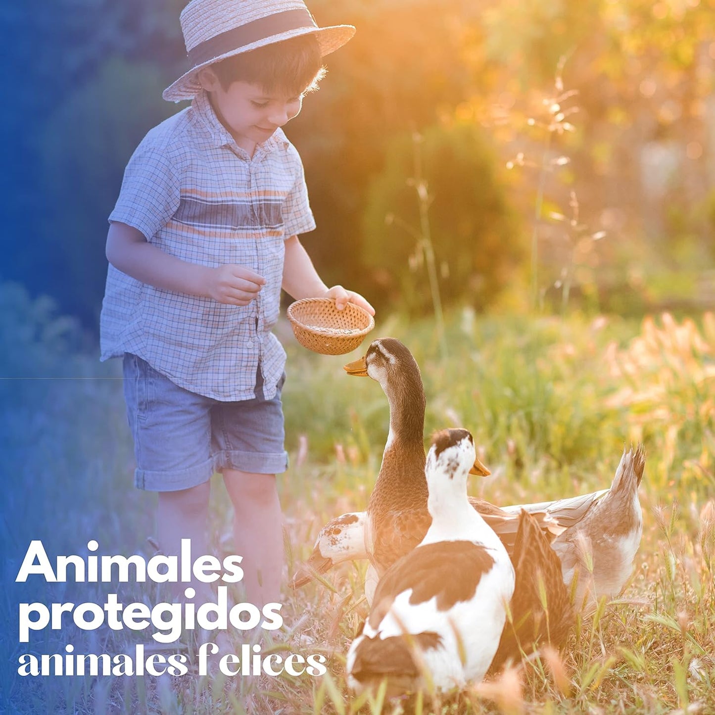 Caseta De Madera Para Patos - Nido Para Patos Grande_5