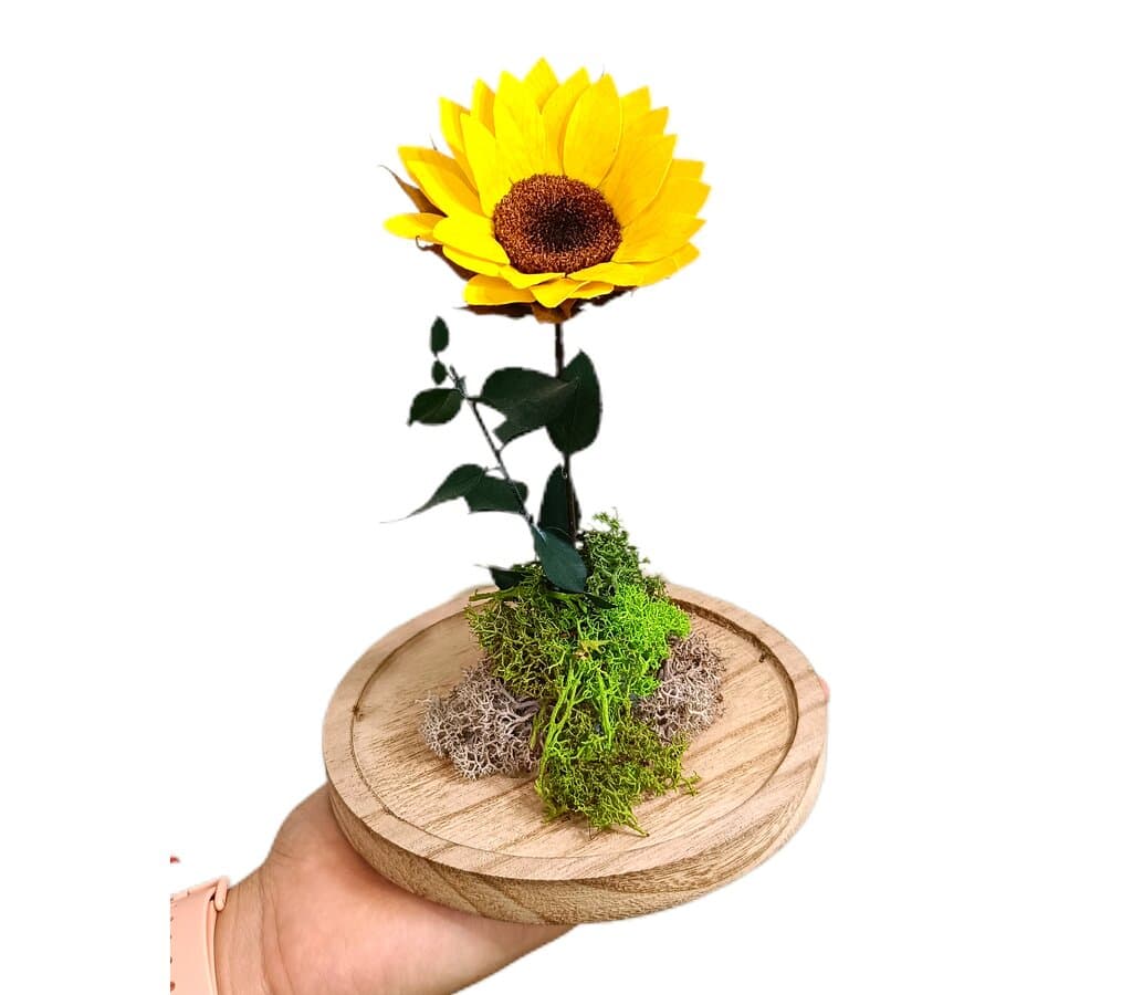 Mundo Eterno Girasol En Cúpula 12x20cm