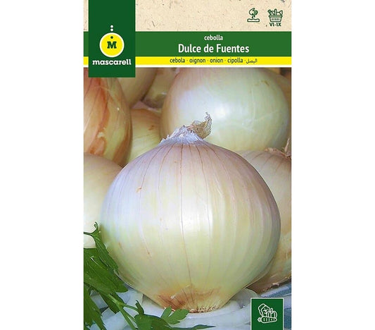 Semillas Cebolla Dulce De Fuentes