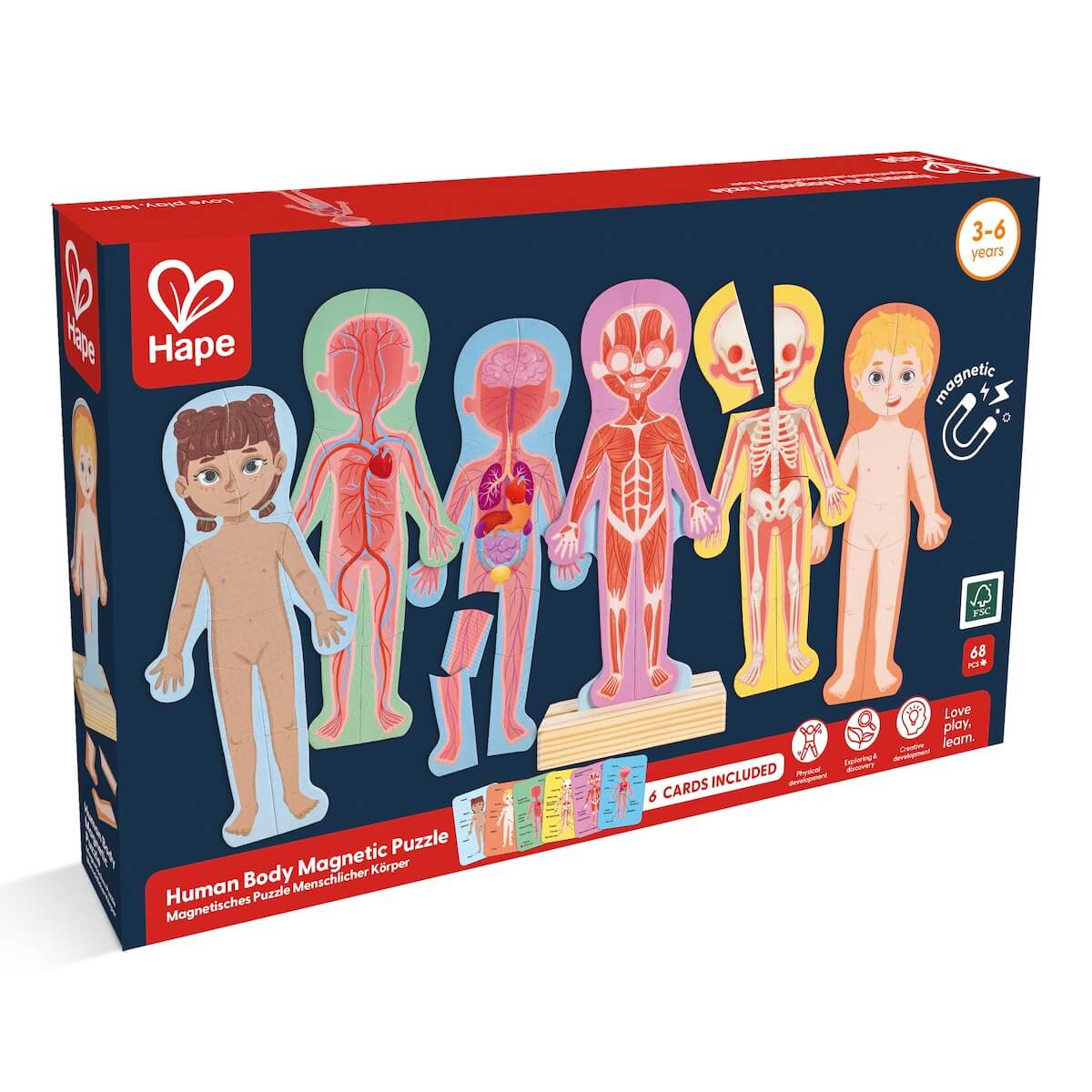Puzzle Magnético Human Body Hape_5