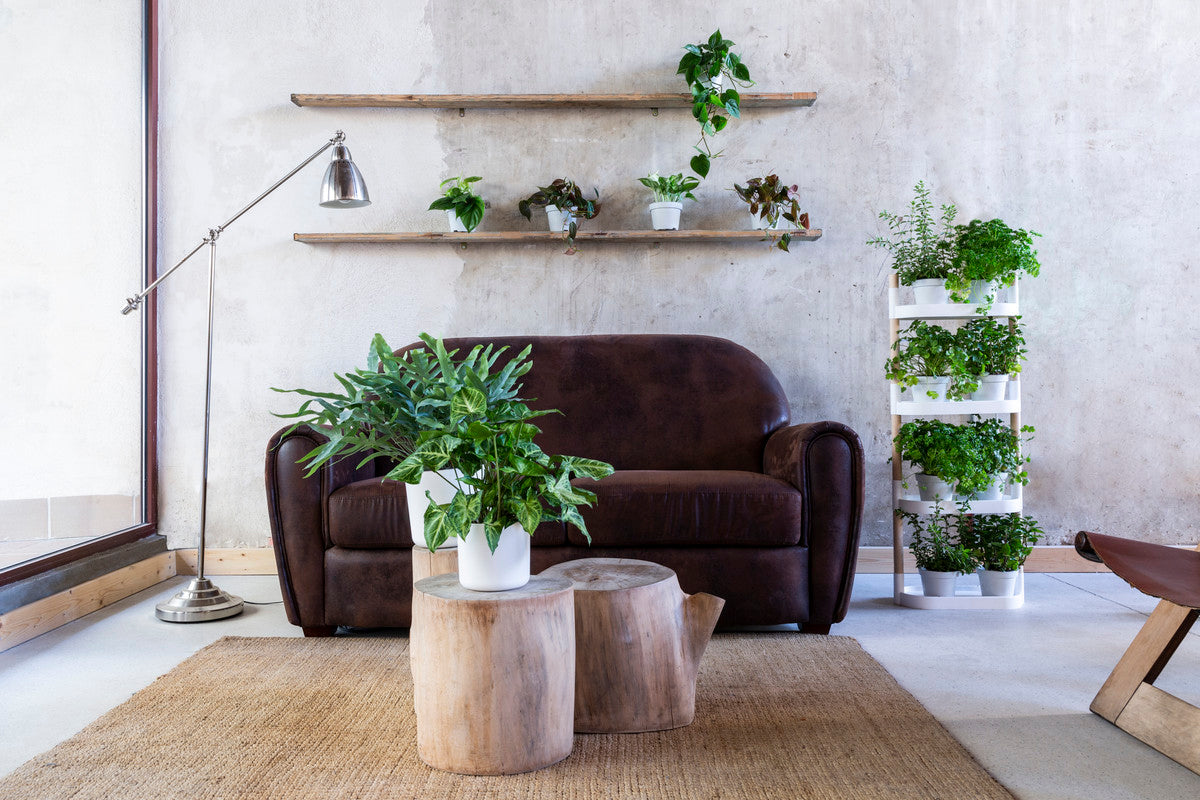 Kit Huerto En Casa Citysens: Soporte Para Macetas Blanco + Macetas + Sustrato + Semillas + Guía De Cultivo