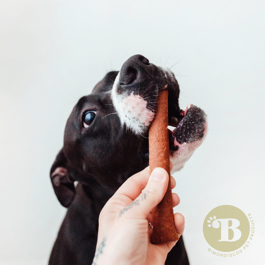 Bimordiscos Sticks De Salmón Para Perros Y Gatos - 15 Uds.