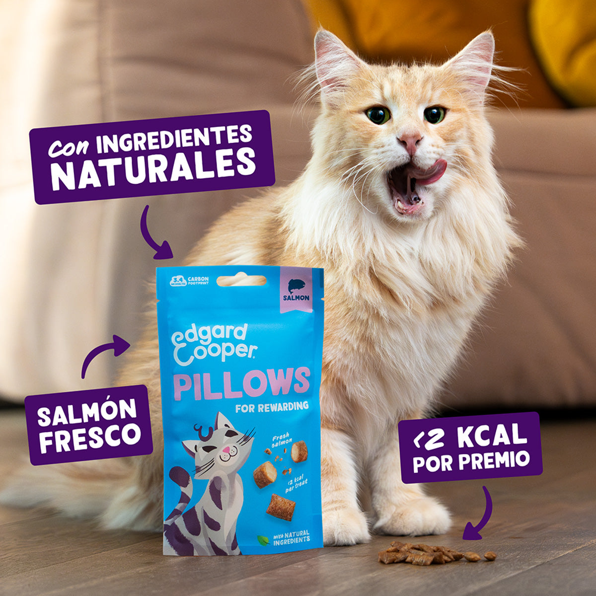 Bocaditos de Salmón Premios naturales para gatos Edgard Cooper 60 g