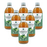 Pack 6x Kombucha ECO té verde y lima Planeta Huerto 330 ml