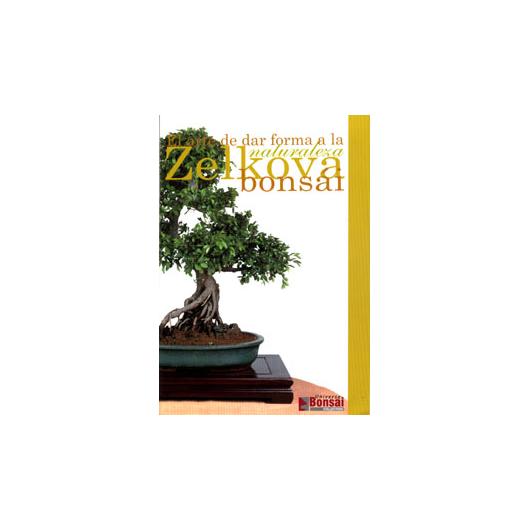 Guía Zelkova Bonsái