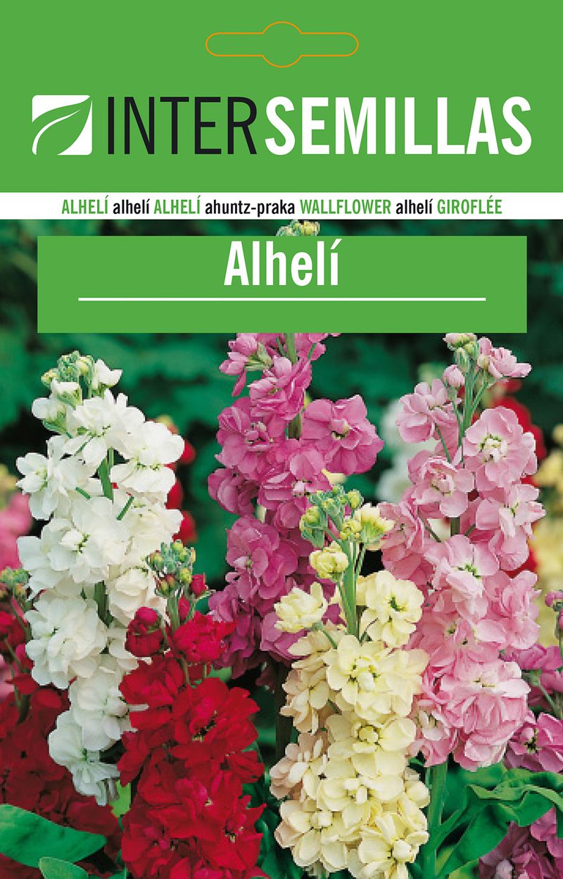 Sobre De Semillas De Alheli