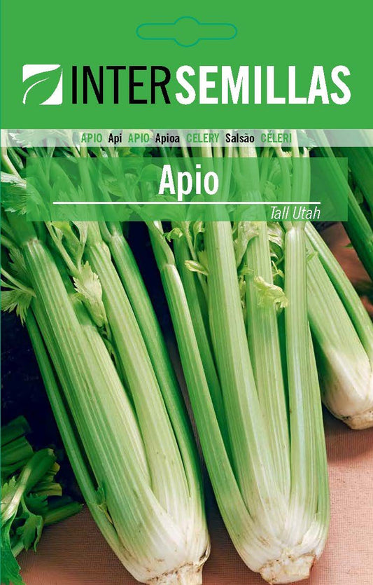 Apio Tall Utha Sobre De Semillas Cerrado