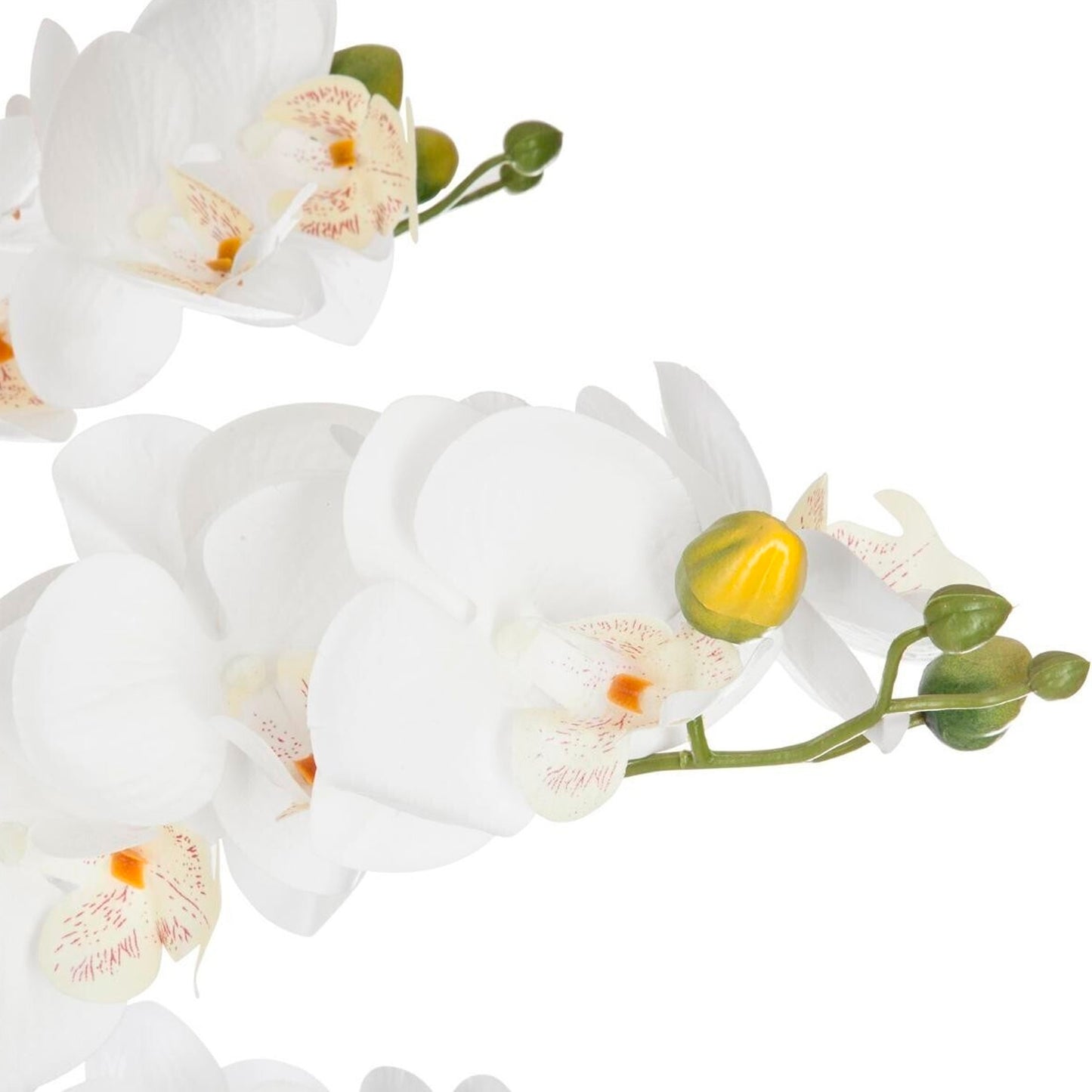 Orquídea Olla Cerámica Blanca H65