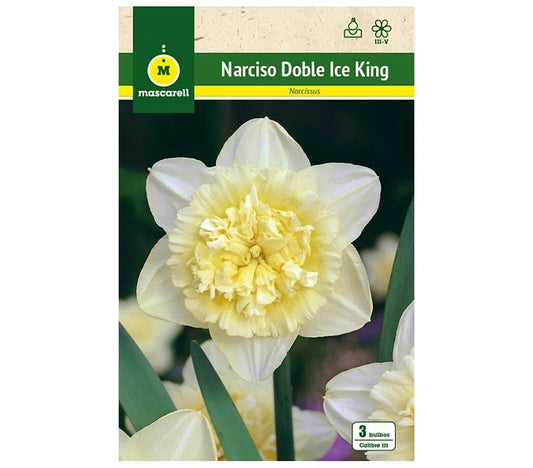 Bulbo Narciso Doble Ice King