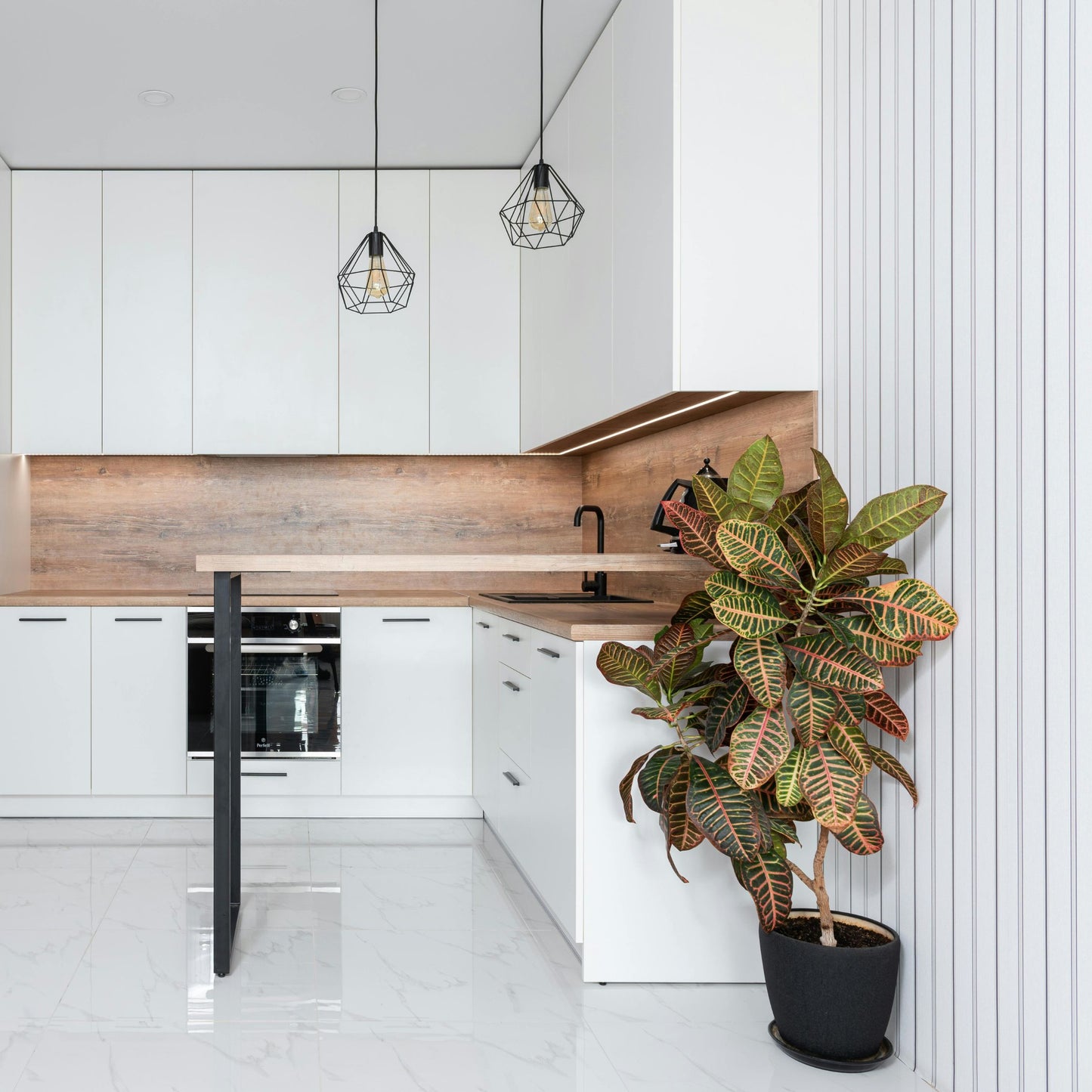 Croton - Codiaeum Variegatum 'mrs. Iceton' - Altura 140-150cm - ⌀31cm