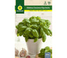Semillas Albahaca Genovesa Hoja Ancha