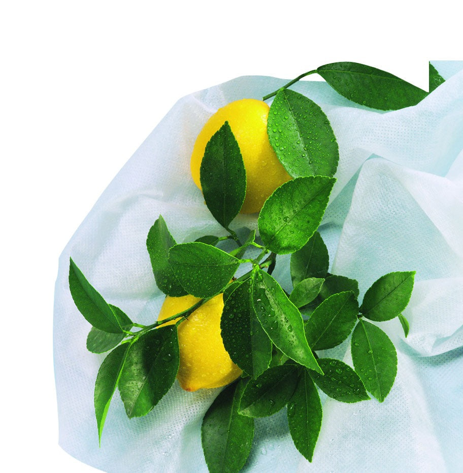 Funda de hibernación antiheladas Hiversac 50 g/m2 Nortene 3 ud