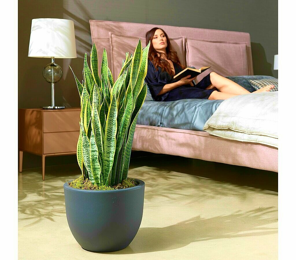 Veca Macetero Plástico Blanco Eggy 65x50 Cm_1