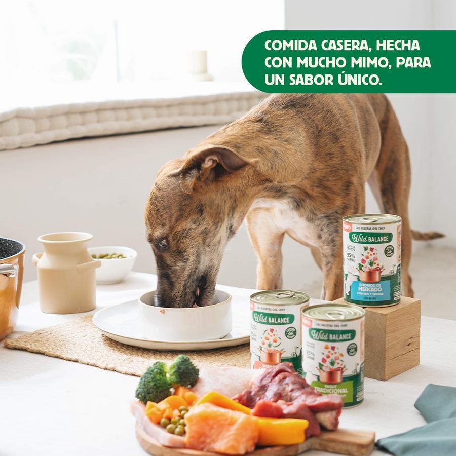 Pack 6X Ragut tradicional de ternera y pollo para perros Wild Balance 400 g