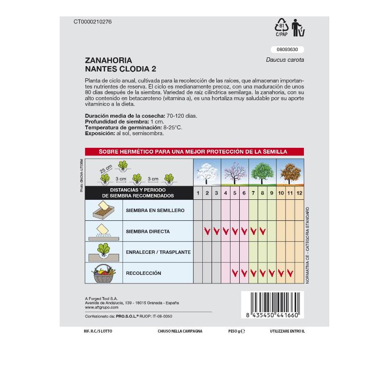 Semillas Zanahoria Nantes Temprana (7 Gramos). Semillas Verduras, Horticultura, Horticola, Semillas Huerto.