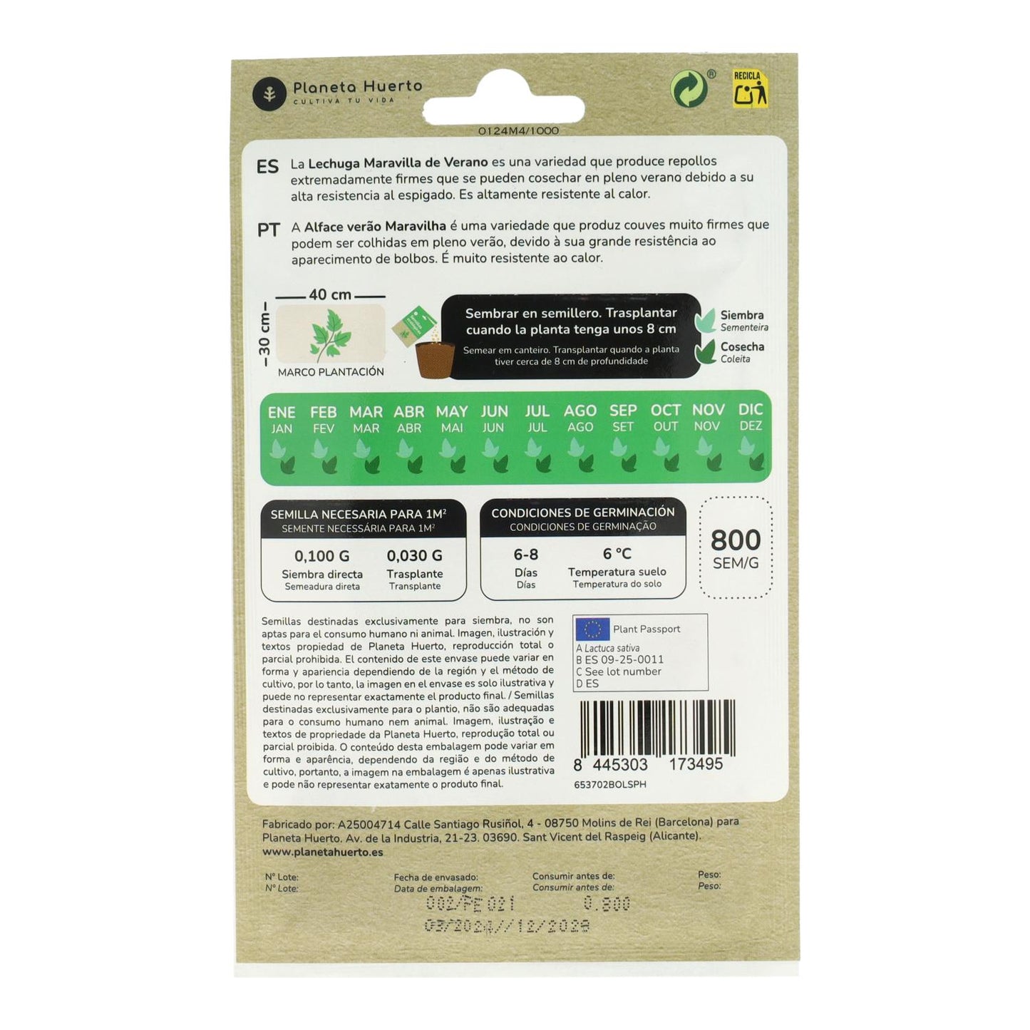 Semillas de Lechuga maravilla de verano ecológicas Planeta Huerto