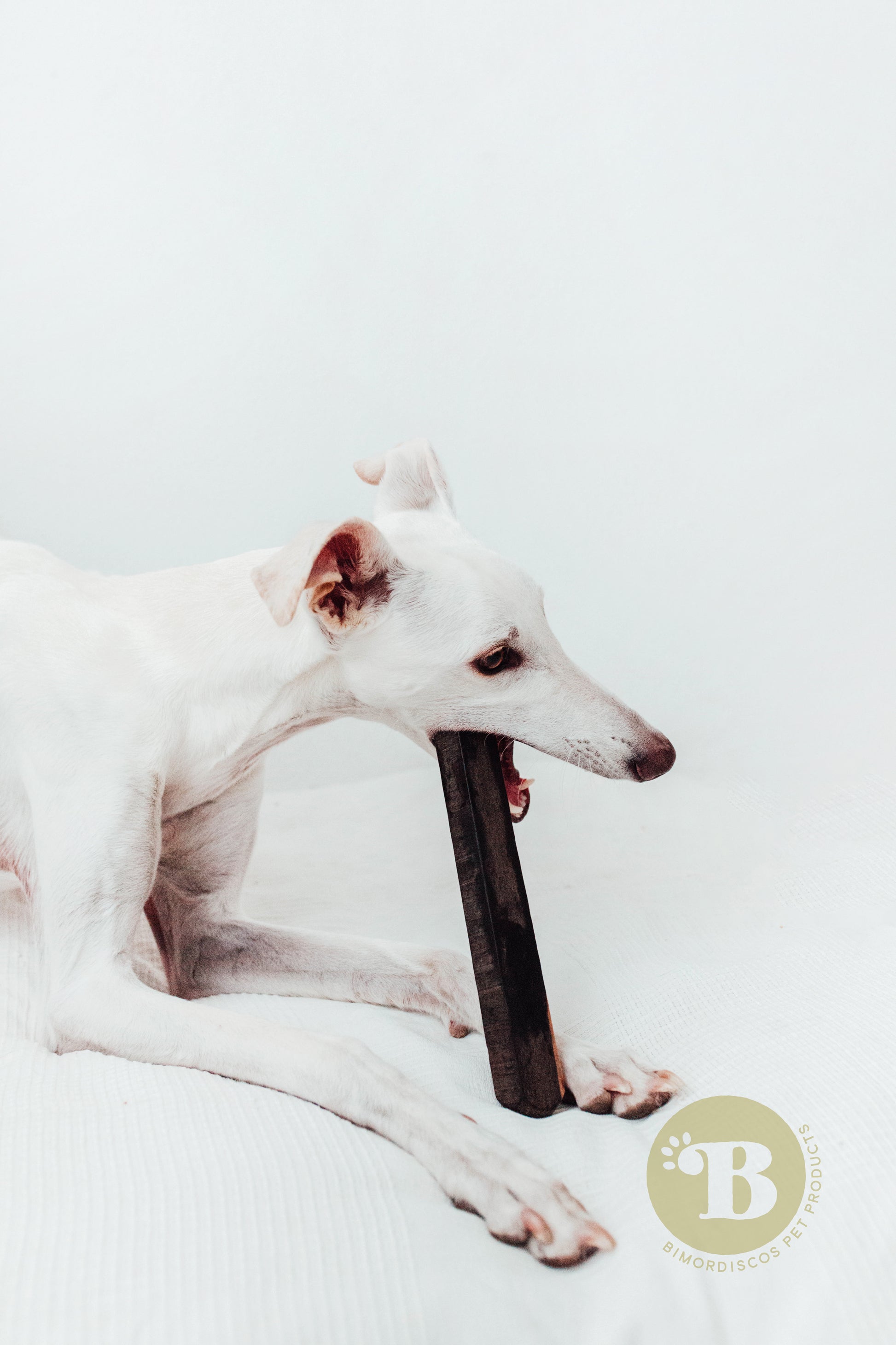 Bimordiscos Palo De Ébano Para Perros.