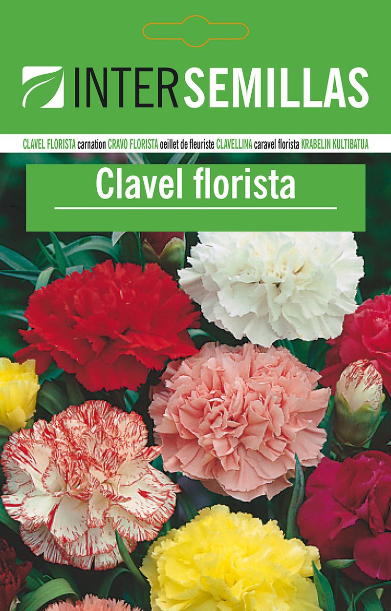 Sobre Semillas De Clavel De Florista