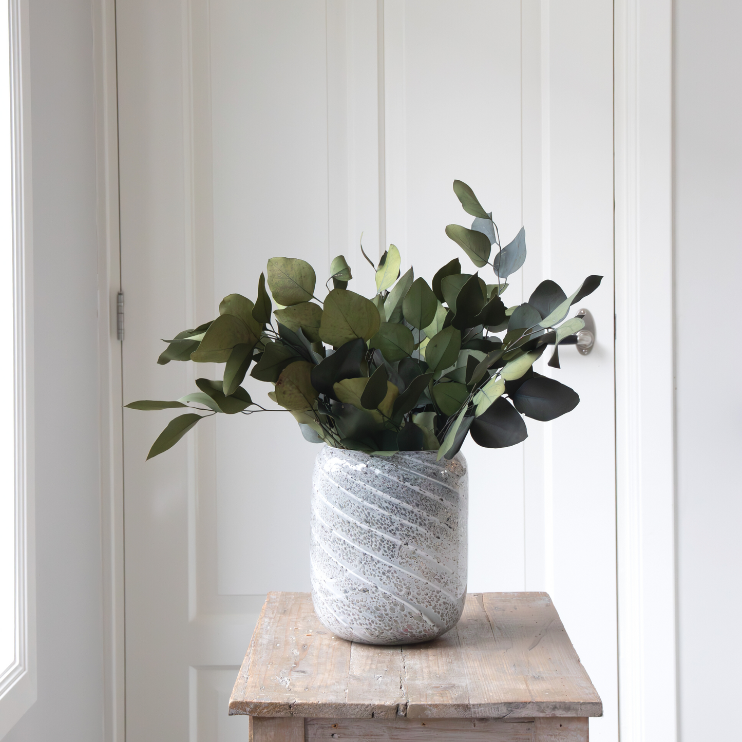 Flores Secas - Eucalyptus Stuartiana