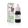 Extracto de Fumaria Soria Natural, 50 ml