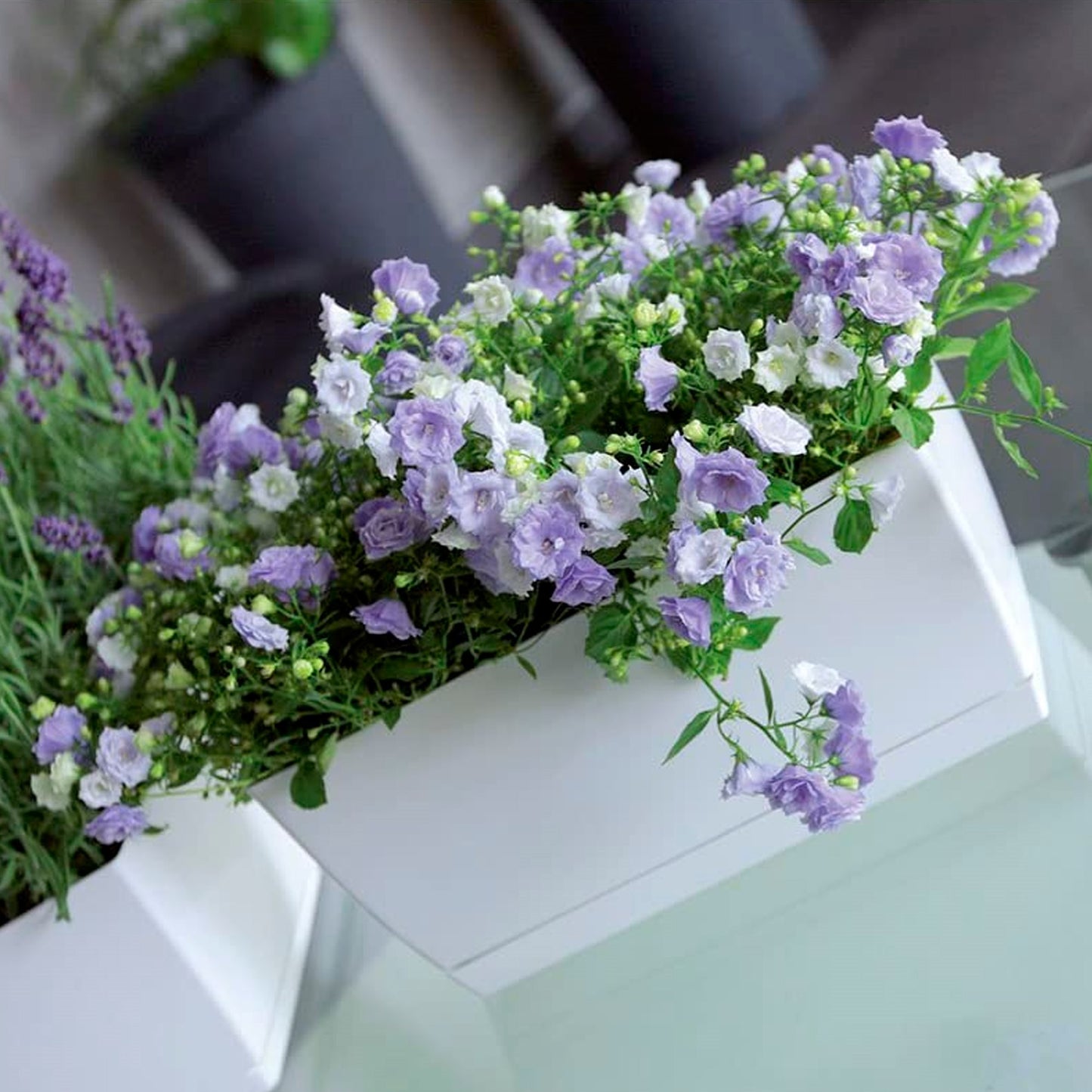 3x Jardinera De Plastico Coubi Case P En Color Blanco 24 (largo) X 12 (ancho) X 11 (altura) Cm_4