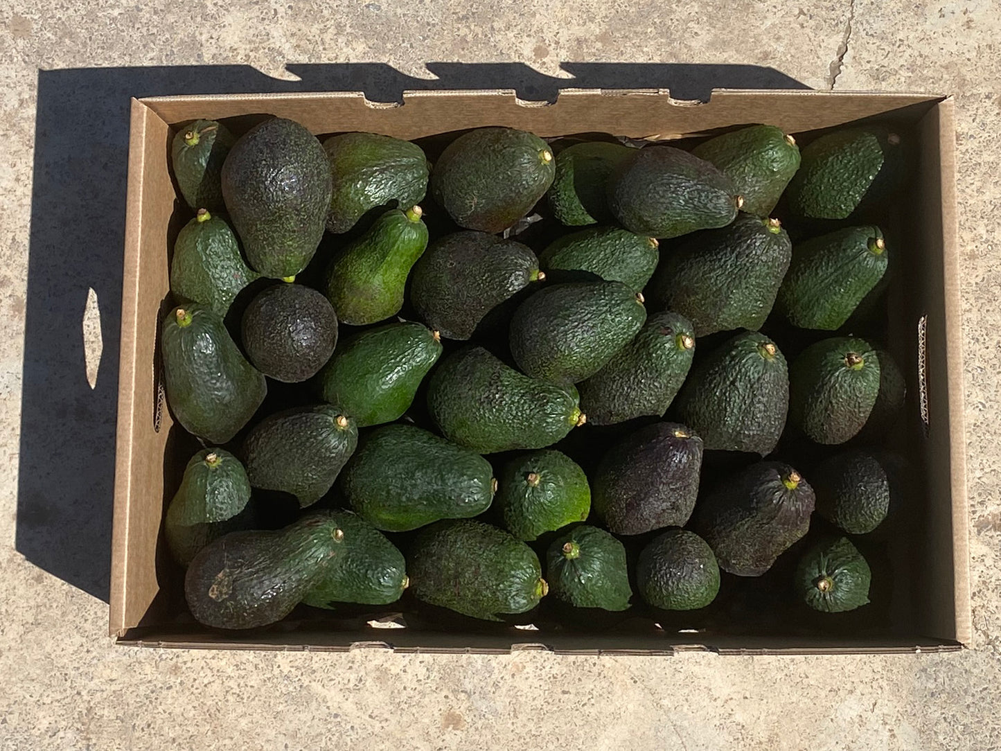 Aguacates Hass Fruta Española De Temporada Tropitop 10kg_2