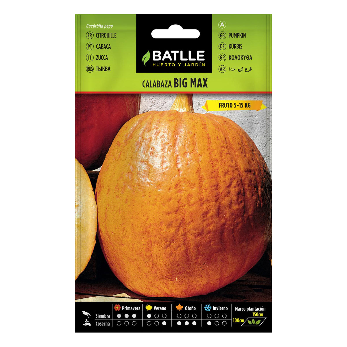 Semillas de calabaza gigante Big Max Batlle