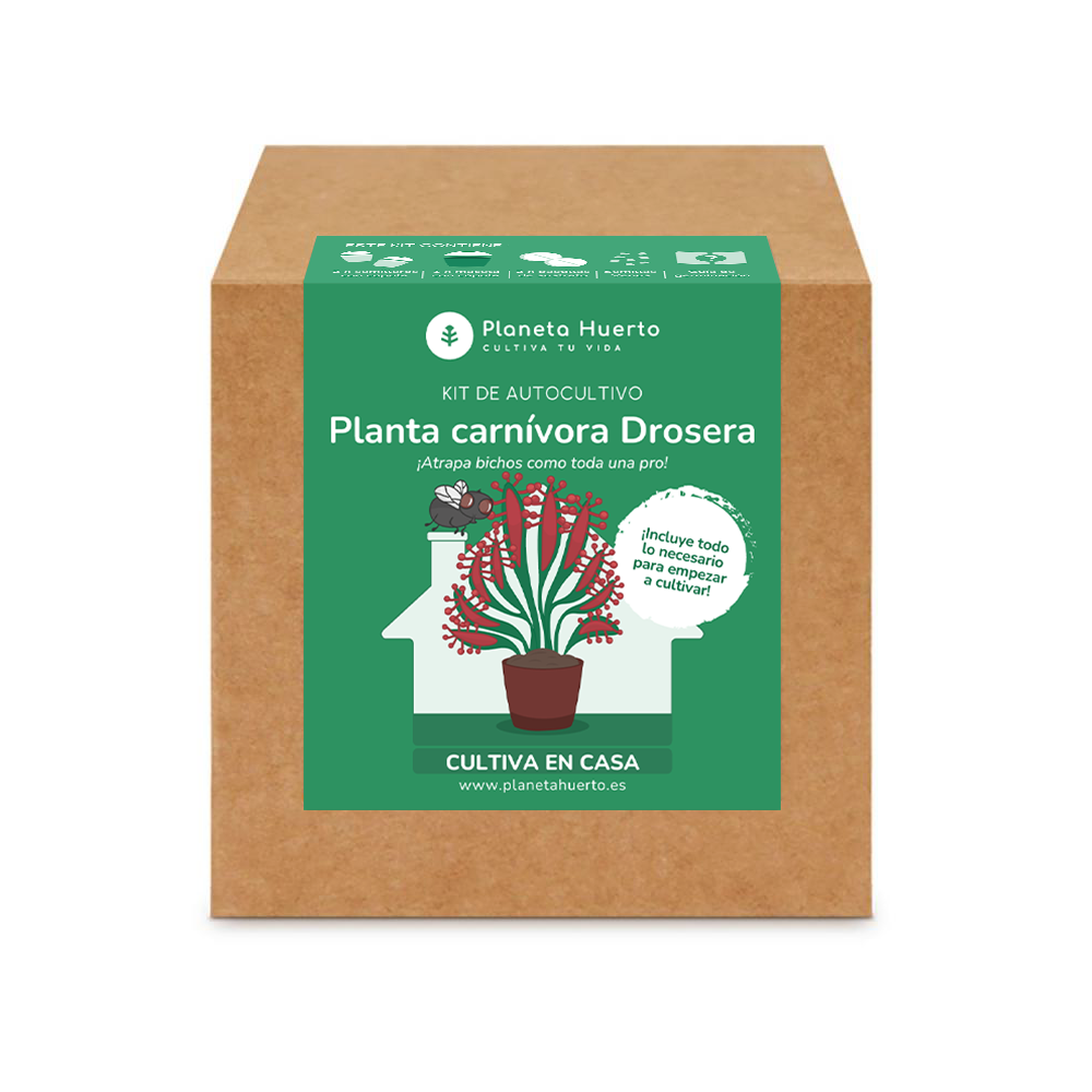 Kit de autocultivo Planta carnívora Drosera Planeta Huerto