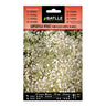 Semillas de Gipsofila vivaz Paniculata simple blanca Batlle