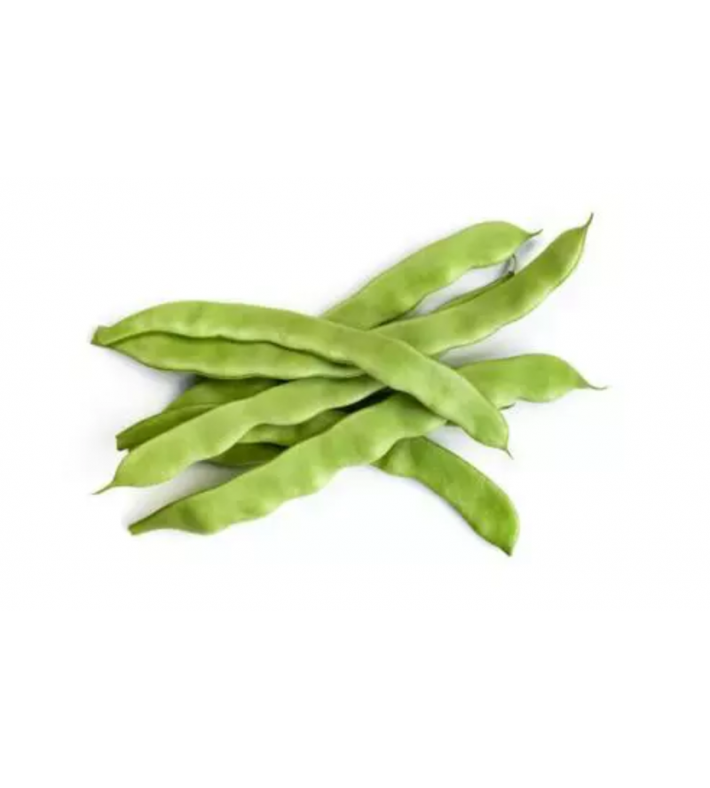 Judia Plana Ancha. De Conil. 1/2 Kg_0