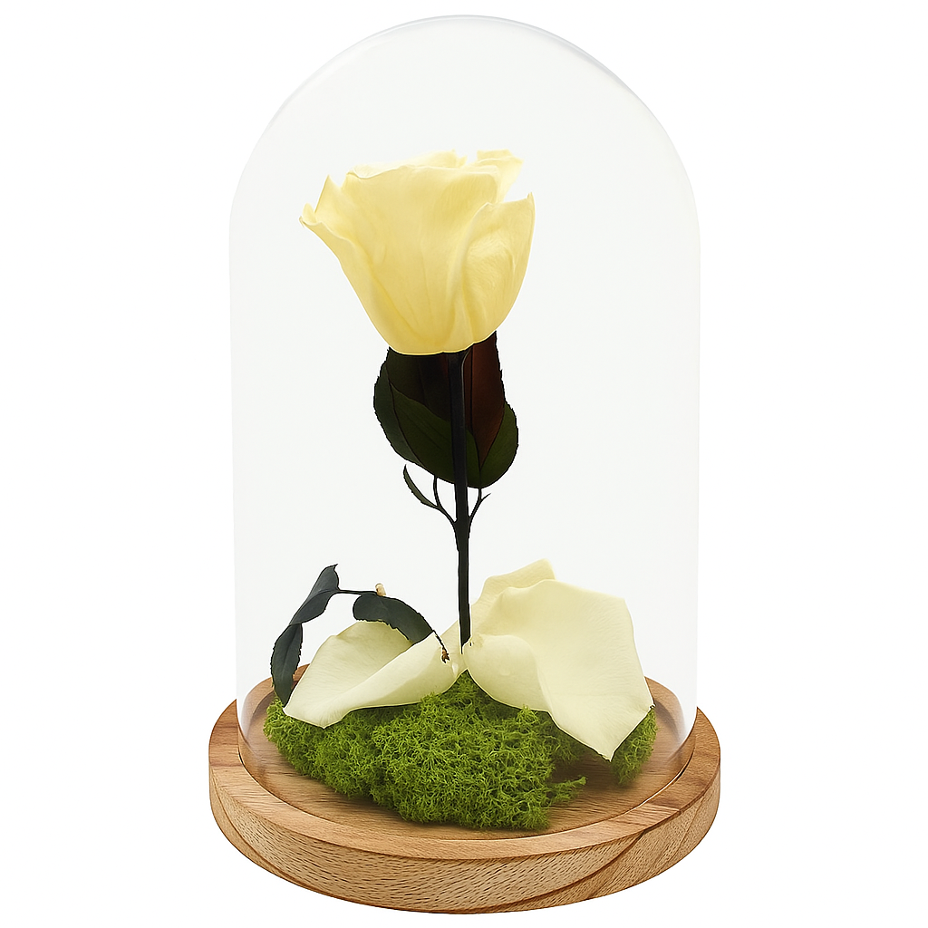 Mundo Eterno Rosa En Cúpula Crema (champagne) 12x20cm