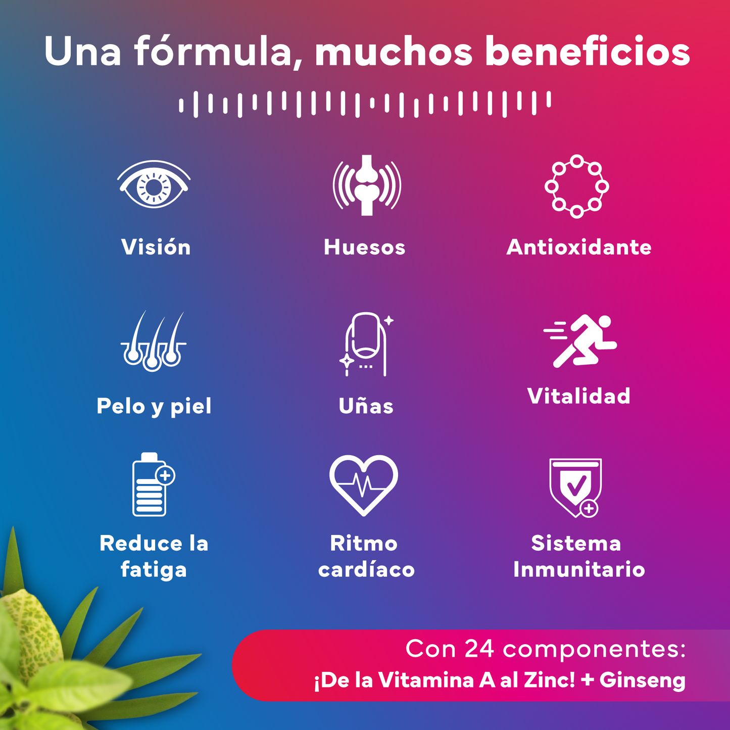 Multivitaminas Sevens Nutrition. Energía, Inmunidad Y Bienestar.