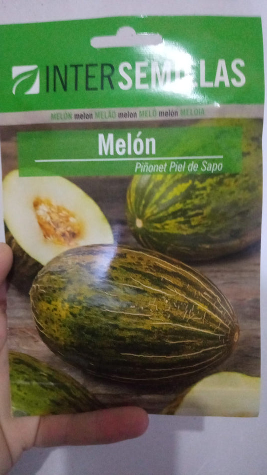 Sobre De Semillas Melon Piel De Sapo