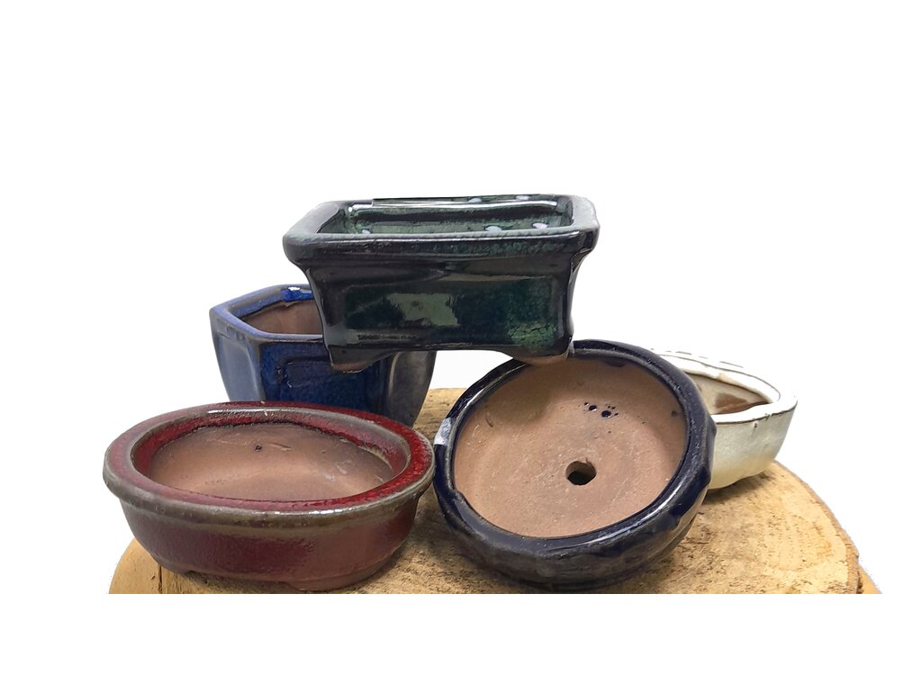 Tiesto Acento Mame Bonsai Vitrificado