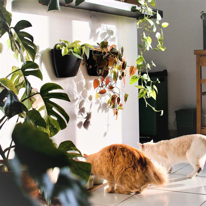 Jardín Vertical Modular Citysens Con Riego Manual De 3 Maceteros – Negro, Polipropileno 100% Reciclado