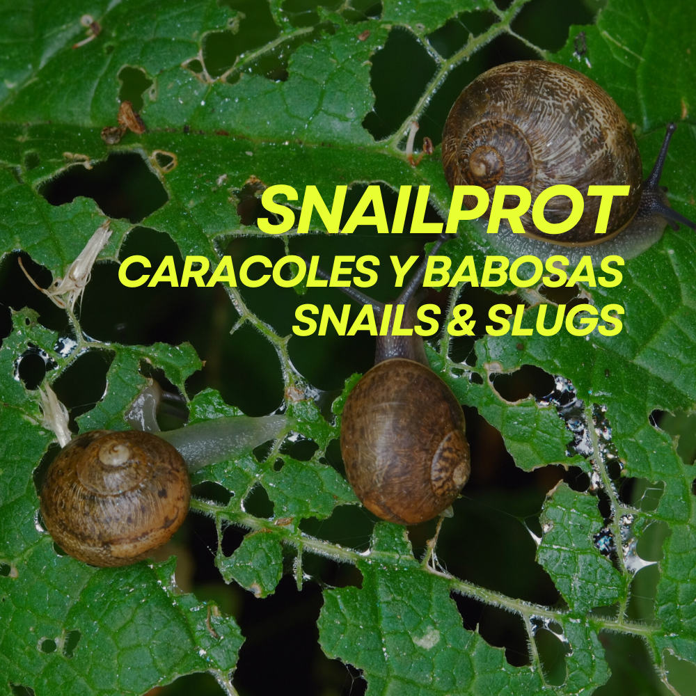 Snailprot Prot-eco / Anticaracoles Y Babosas Ecológico Para Huertos Y Jardines